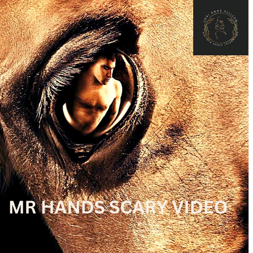 Mr. Hands Original The Controversial Tale Of An Legend